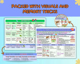 Pharmacology Cheat Sheet Bundle | 120+ Drug Classes | Cardiac, Psych, Immune, Endocrine Medications, & MUCH MORE